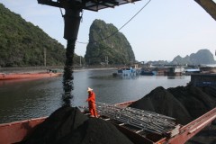 Vận tải than - Công Ty CP Tàu Biển Thành Đạt